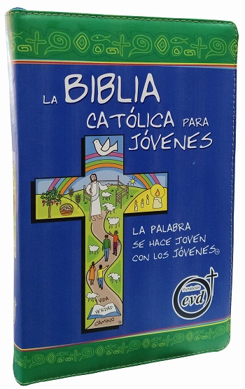 La Biblia Católica para Jóvenes. (Junior/Cremallera/Gris/18x12.7 cm)