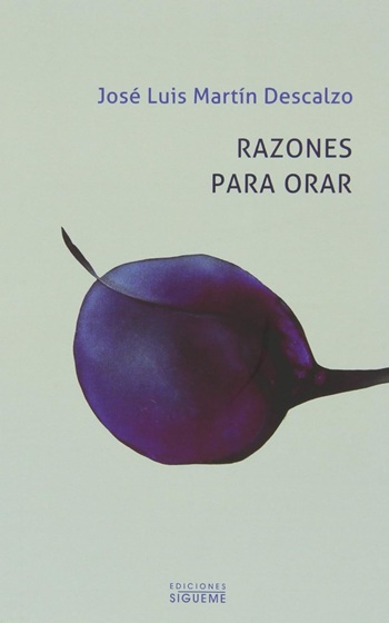 Razones para orar. (Tapa blanda/12x19 cm)
